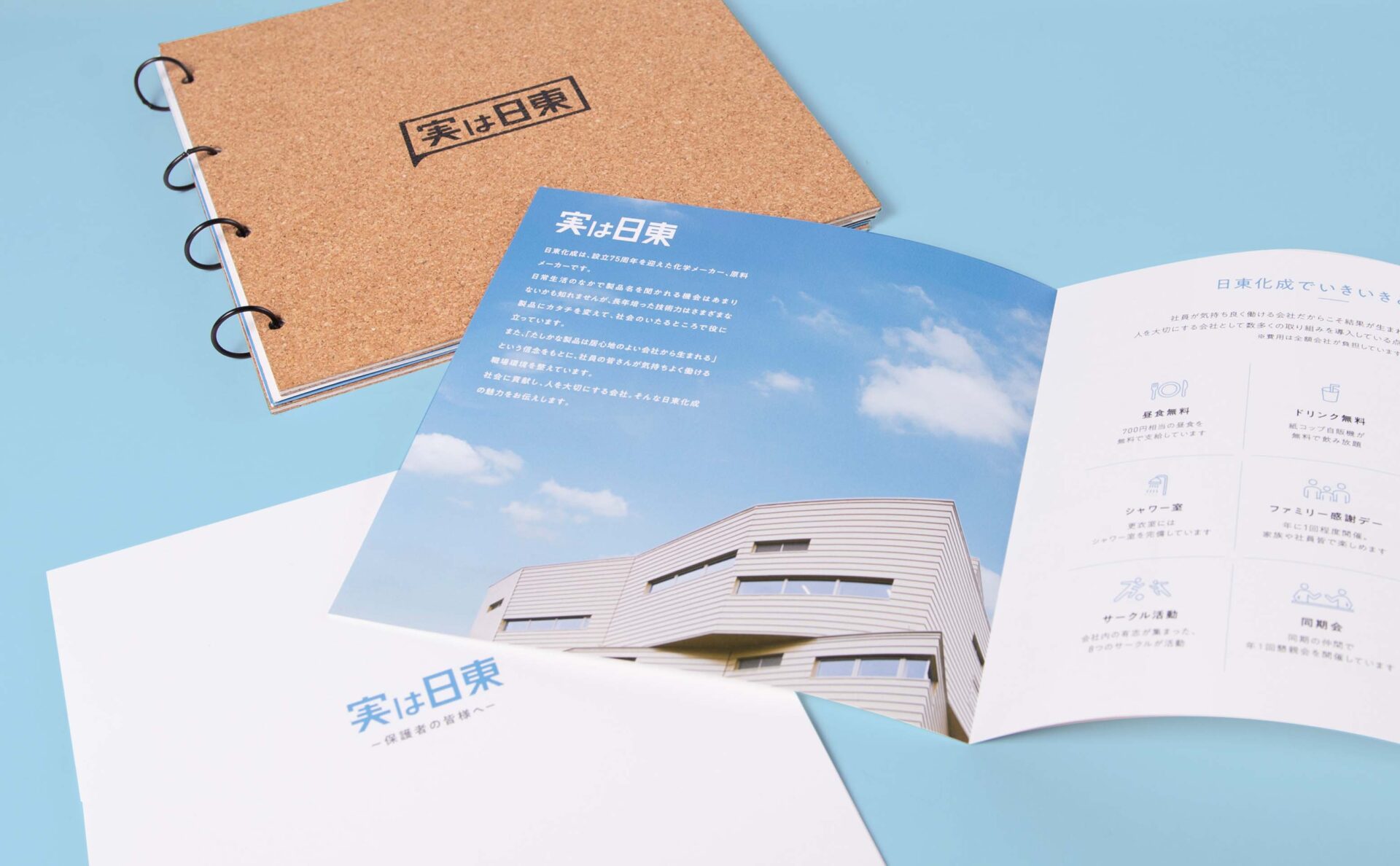 日東化成採用パンフレット中面実は日東