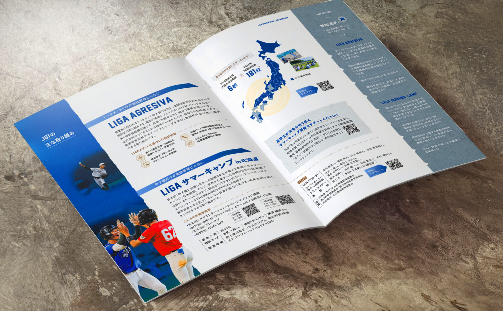 Japan Baseball Innovationパンフレット_イメージ