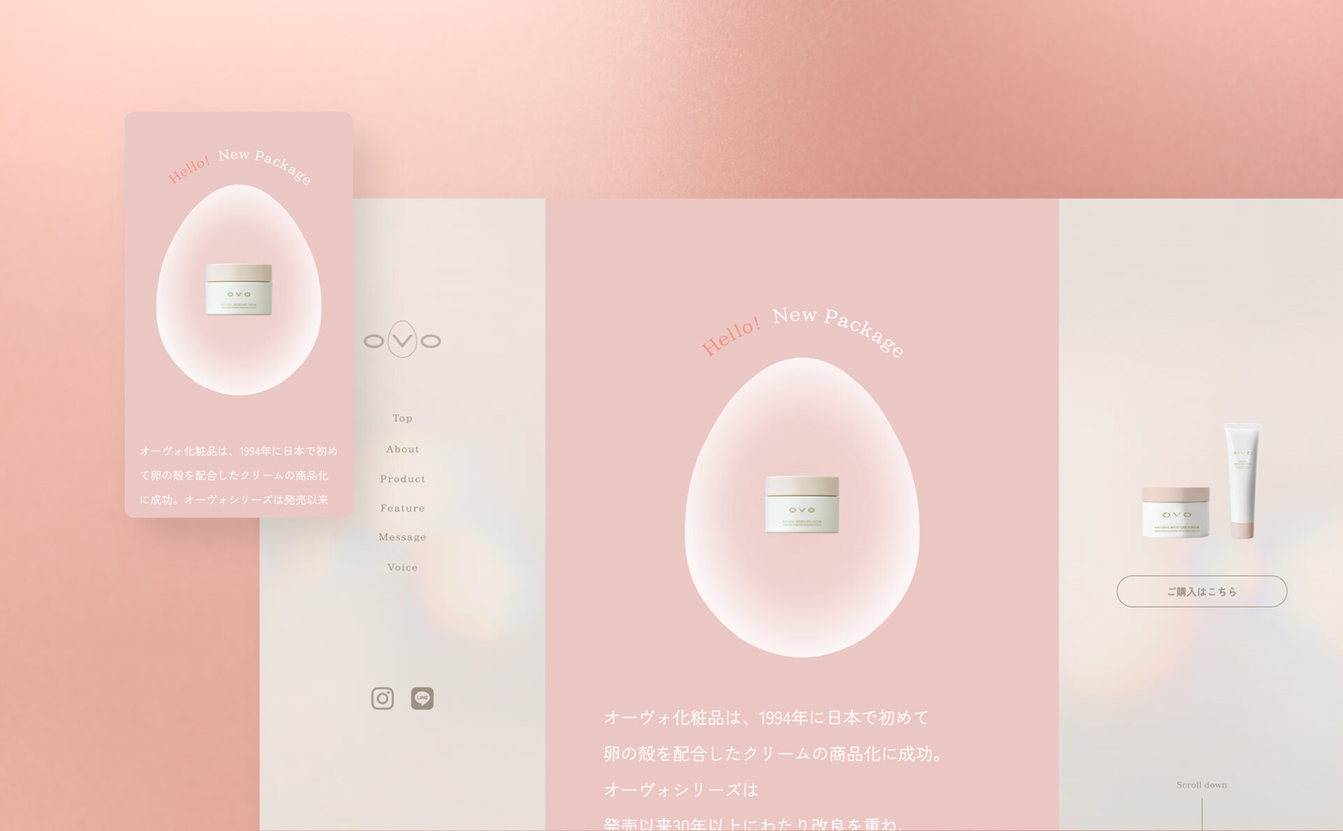 OVOWEBサイトイメージ