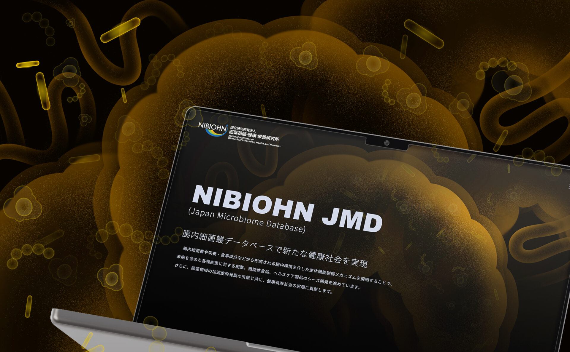 国立研究開発法人医薬基盤・健康・栄養研究所NIBIOHNコーポレートサイトメインビジュアル