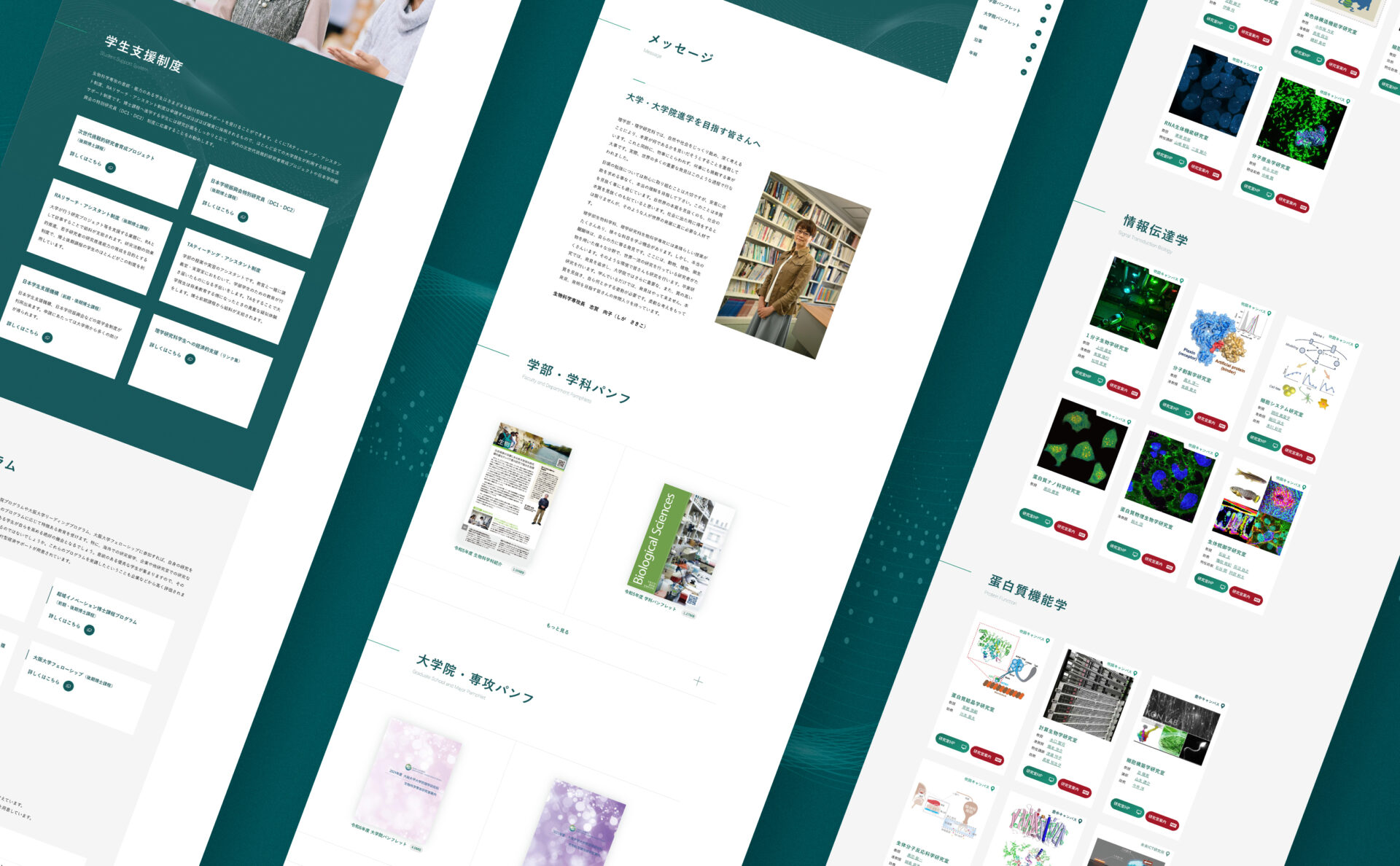 大阪大学 大学院理学研究科・理学部、生物科学専攻・生物科学科学部サイト下層ページデザイン