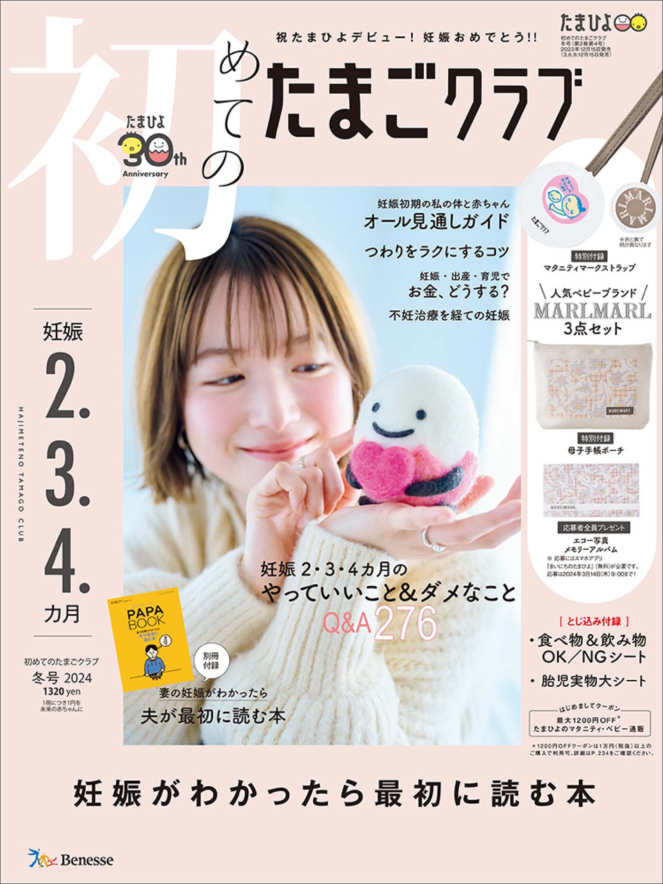 たまこ様 ご確認用 物足りなかっ
